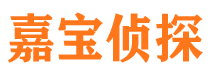 城中寻人公司